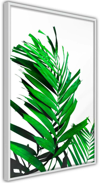Juliste Artgeist Juicy Leaf, kehyksillä, eri kokoja