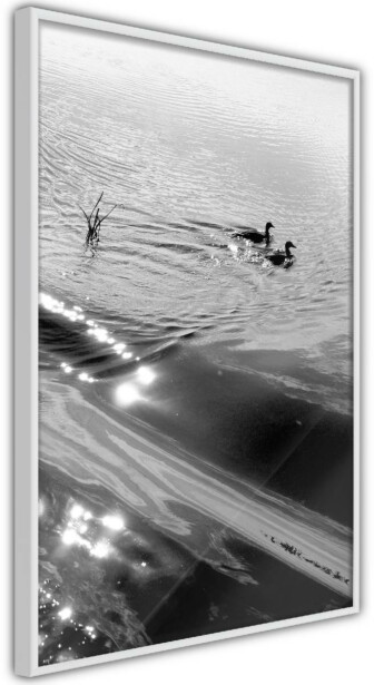 Juliste Artgeist Ducks, kehyksillä, eri kokoja