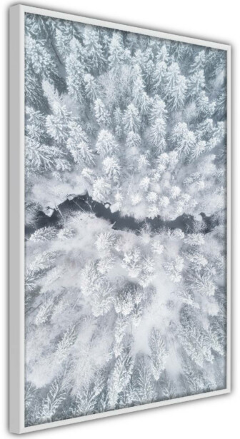Juliste Artgeist Tree Crowns, kehyksillä, eri kokoja