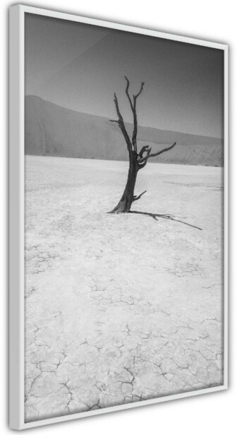 Juliste Artgeist Tree in the Desert, kehyksillä, eri kokoja