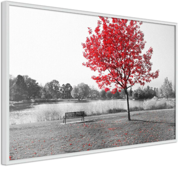 Juliste Artgeist Red Tree, kehyskartongilla, kehyksillä, eri kokoja