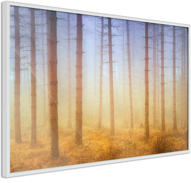 Juliste Artgeist Foggy Forest, kehyksillä, eri kokoja