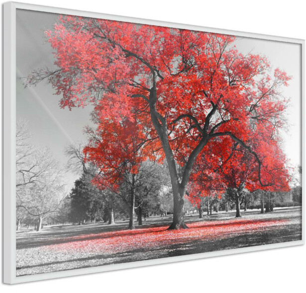 Juliste Artgeist Autumn in the Park, punainen, kehyksillä, eri kokoja