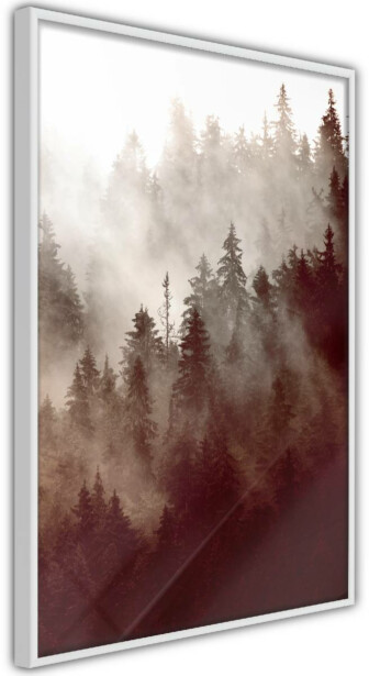 Juliste Artgeist Brown Forest, kehyksillä, eri kokoja