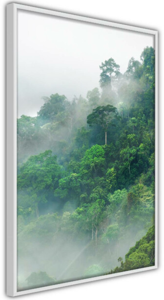 Juliste Artgeist Lush Forest, kehyksillä, eri kokoja