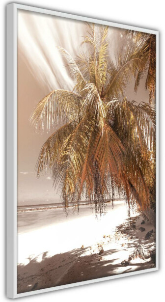 Juliste Artgeist Palm Shadow, kehyskartongilla, kehyksillä, eri kokoja