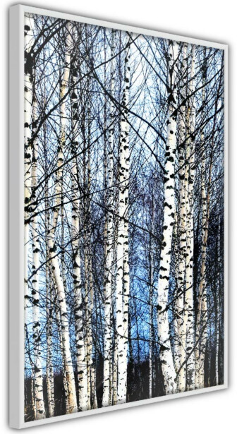 Juliste Artgeist Frosty January, kehyksillä, eri kokoja