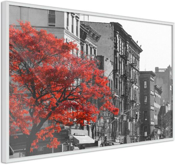 Juliste Artgeist Autumn in New York, kehyksillä, eri kokoja