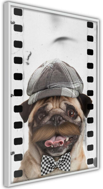 Juliste Artgeist Pug In Hat, kehyksillä, eri kokoja
