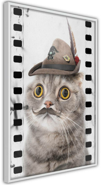 Juliste Artgeist Cat In Hat, kehyksillä, eri kokoja