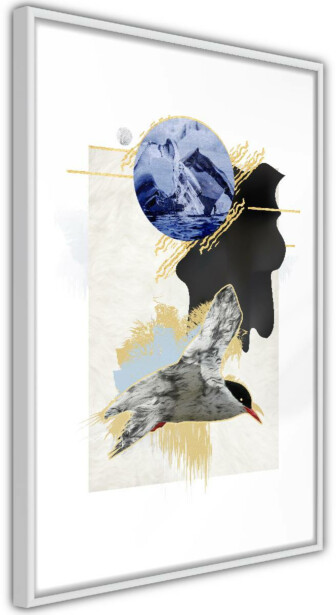 Juliste Artgeist Antarctic Tern, kehyksillä, eri kokoja