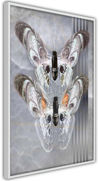 Juliste Artgeist Couple Butterfly, kehyksillä, eri kokoja
