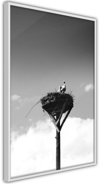 Juliste Artgeist Crow's Nest, kehyksillä, eri kokoja