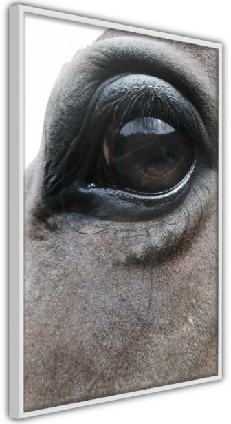 Juliste Artgeist Honest Eyes, kehyksillä, eri kokoja