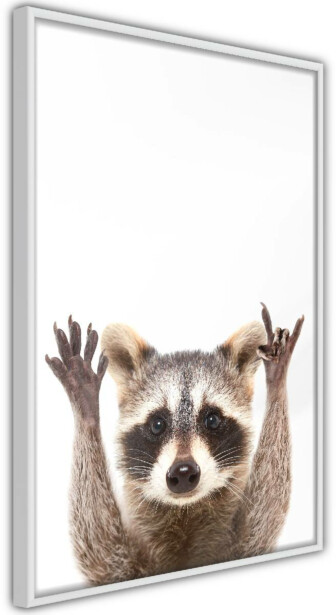 Juliste Artgeist Raccoon, kehyksillä, eri kokoja