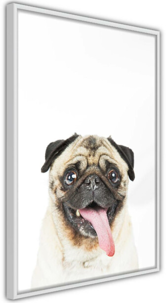 Juliste Artgeist Pug, kehyksillä, eri kokoja