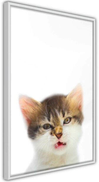 Juliste Artgeist Vexed Cat, kehyksillä, eri kokoja