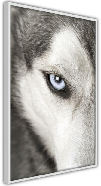 Juliste Artgeist Dog's Look, kehyksillä, eri kokoja