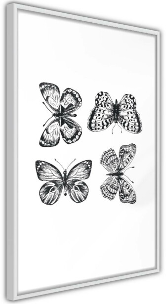Juliste Artgeist Four Butterflies, kehyksillä, eri kokoja