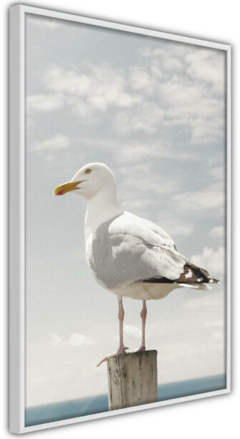 Juliste Artgeist Seagull, kehyksillä, eri kokoja