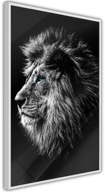 Juliste Artgeist Blue-eyed Lion, kehyksillä, eri kokoja