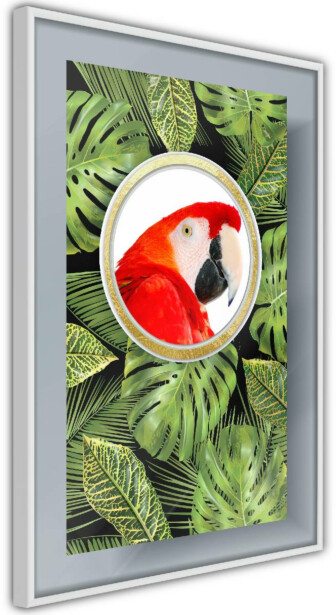 Juliste Artgeist Parrot In The Jungle, kehyksillä, eri kokoja