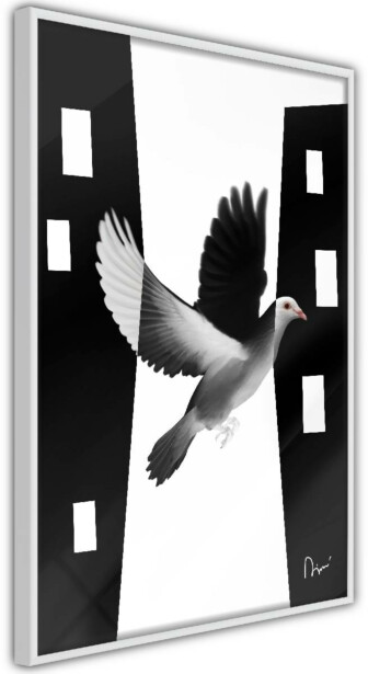 Juliste Artgeist White Dove, kehyksillä, eri kokoja