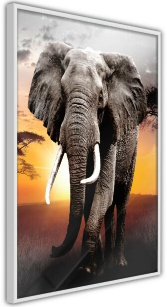 Juliste Artgeist Warm Savanna, kehyksillä, eri kokoja