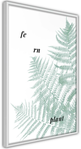 Juliste Artgeist Fern Plant, kehyksillä, eri kokoja