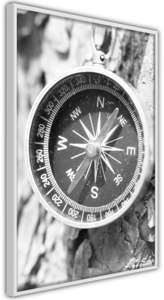 Juliste Artgeist Black and White Compass, kehyksillä, eri kokoja