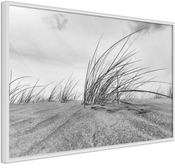 Juliste Artgeist Seaside Reed, kehyksillä, eri kokoja