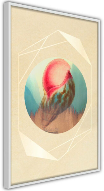 Juliste Artgeist Seashell, kehyksillä, eri kokoja