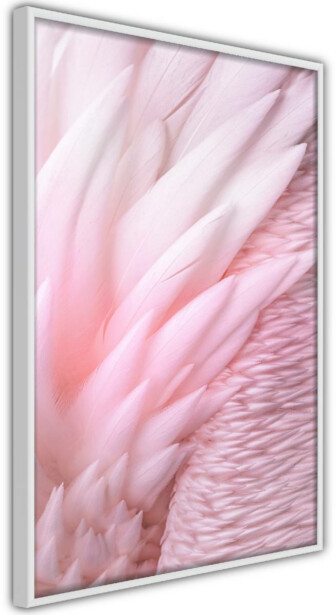 Juliste Artgeist Feathers, kehyksillä, eri kokoja