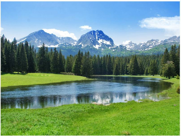 Kuvatapetti Artgeist National Park Durmitor, Montenegro, eri kokoja