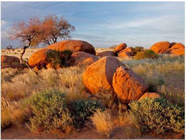 Kuvatapetti Artgeist Africa, Namibia, eri kokoja