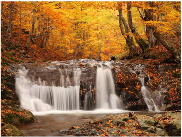 Kuvatapetti Artgeist Autumn landscape: waterfall in forest, eri kokoja