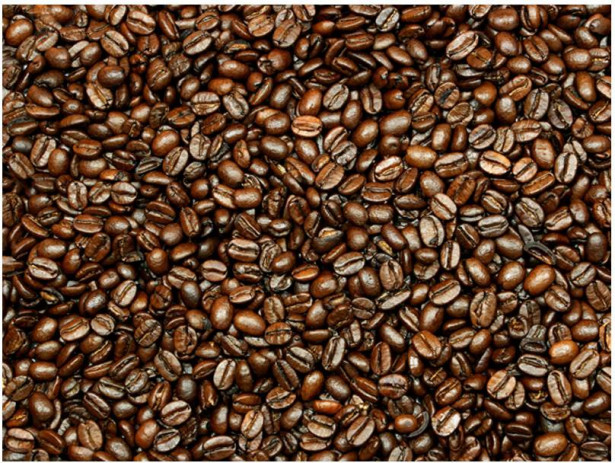 Kuvatapetti Artgeist Coffee heaven, eri kokoja