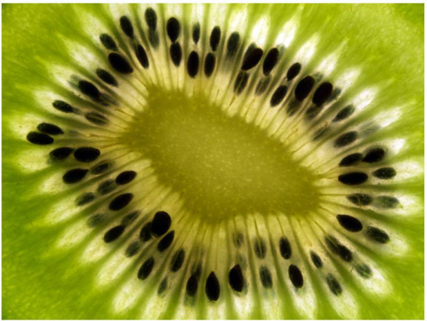 Kuvatapetti Artgeist Fruits: kiwi, eri kokoja