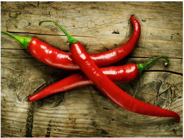 Kuvatapetti Artgeist Spicy chili peppers, eri kokoja
