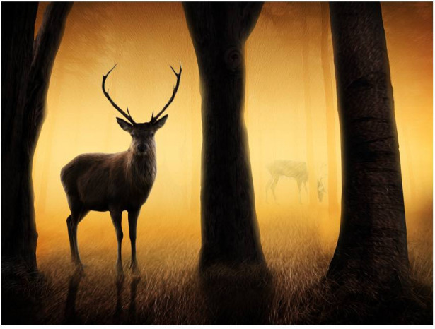 Kuvatapetti Artgeist Deer in his natural habitat, eri kokoja