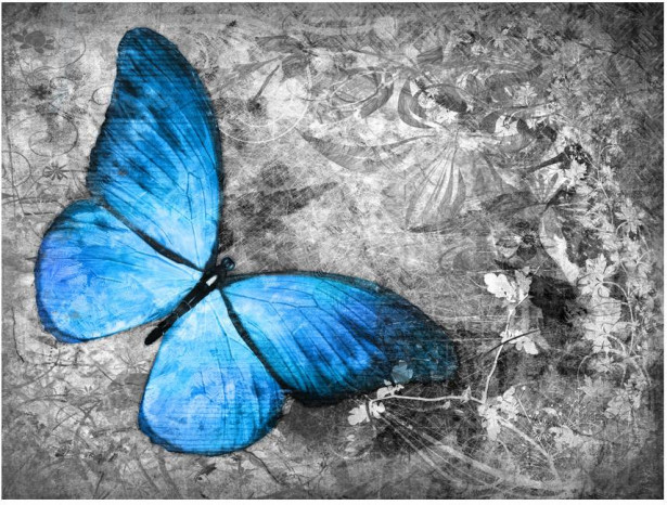 Kuvatapetti Artgeist Blue butterfly, eri kokoja