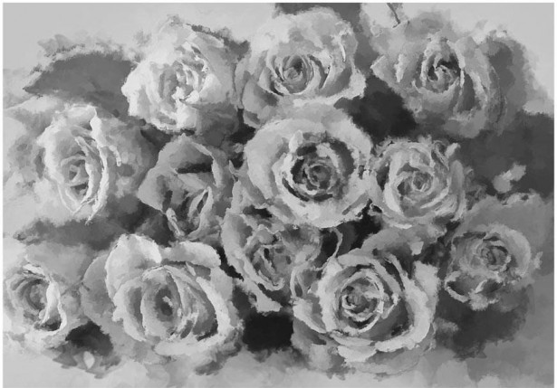 Kuvatapetti Artgeist A dozen roses, eri kokoja