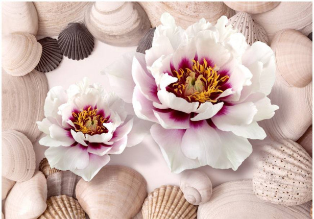 Kuvatapetti Artgeist Flowers and Shells, eri kokoja