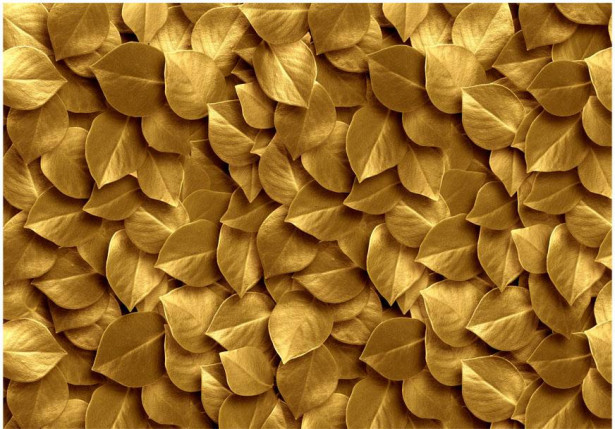 Kuvatapetti Artgeist Golden Leaves, eri kokoja