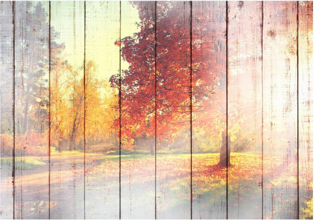 Kuvatapetti Artgeist Autumn Sun, eri kokoja