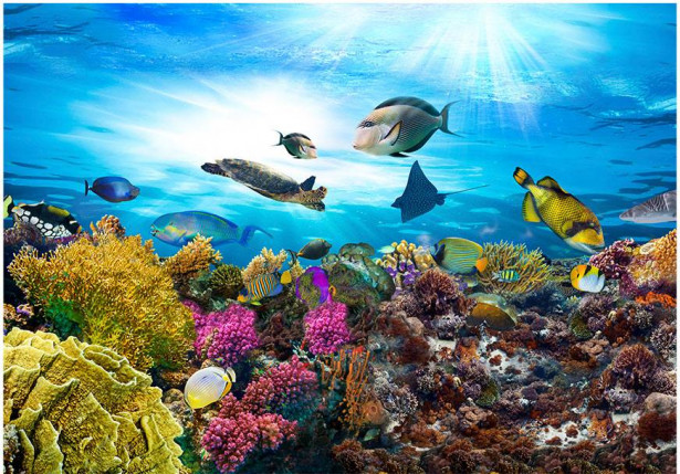 Kuvatapetti Artgeist Coral reef, eri kokoja
