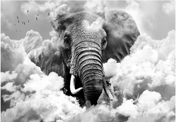 Kuvatapetti Artgeist Elephant in the Clouds Black and White, eri kokoja