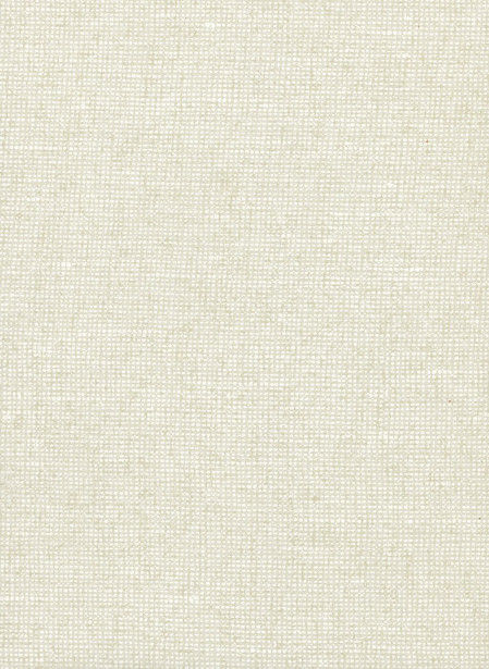 Tapetti Arte Chanderi, 0.7x8.5m, eggshell, non-woven