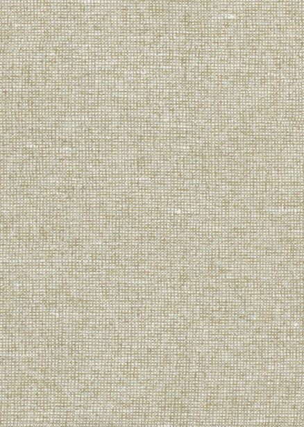 Tapetti Arte Chanderi, 0.7x8.5m, olki, non-woven