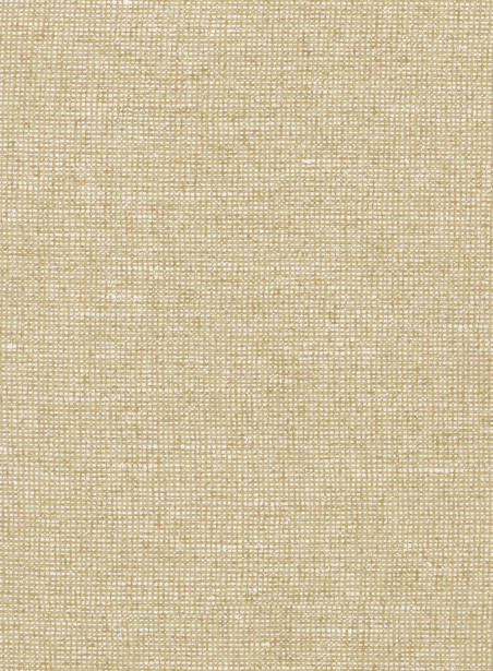 Tapetti Arte Chanderi, 0.7x8.5m, manteli, non-woven